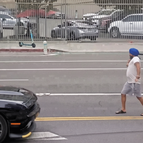 USA: LAPD Releases Bodycam Footage of Fatal Shooting of Sikh Man