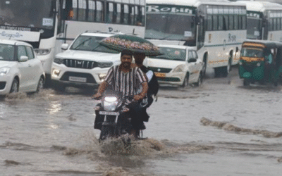 Jalandhar Reels from Record Rainfall, Urban Flooding Causes Widespread Chaos and Property Damage