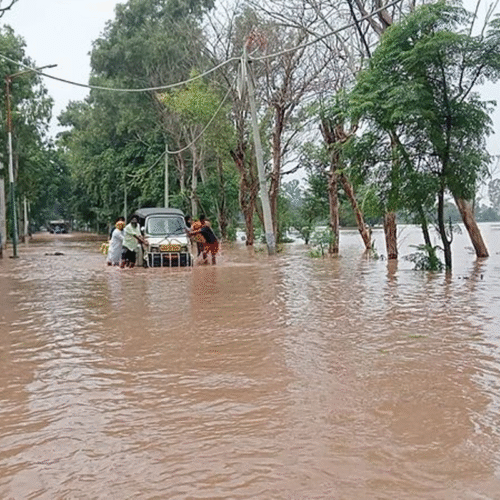 Punjab Colleges, Universities to Remain Closed Until September 3 Due to Heavy Rain