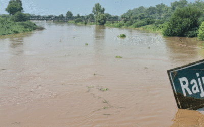 Flood Advisory Issued for Rajpura Villages as Ghaggar River Swells