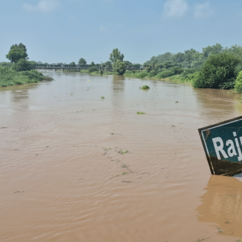Flood Advisory Issued for Rajpura Villages as Ghaggar River Swells
