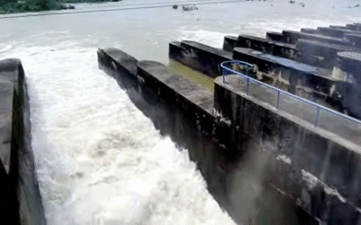 Pong Dam water level Rises to 1,395 Feet, 5 Feet Above Danger Mark
