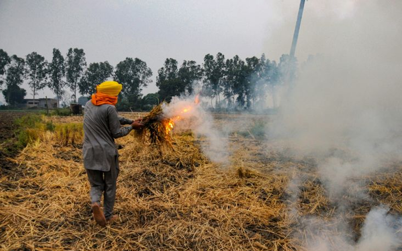 Punjab Stubble Burning Begins Amidst Flood Aftermath; 47 Incidents Reported in 5 Days