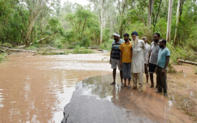 Punjab Floods Cause Severe Ecological Damage, Uprooting 5 Lakh Trees and Damaging 780 Hectares of Forestland