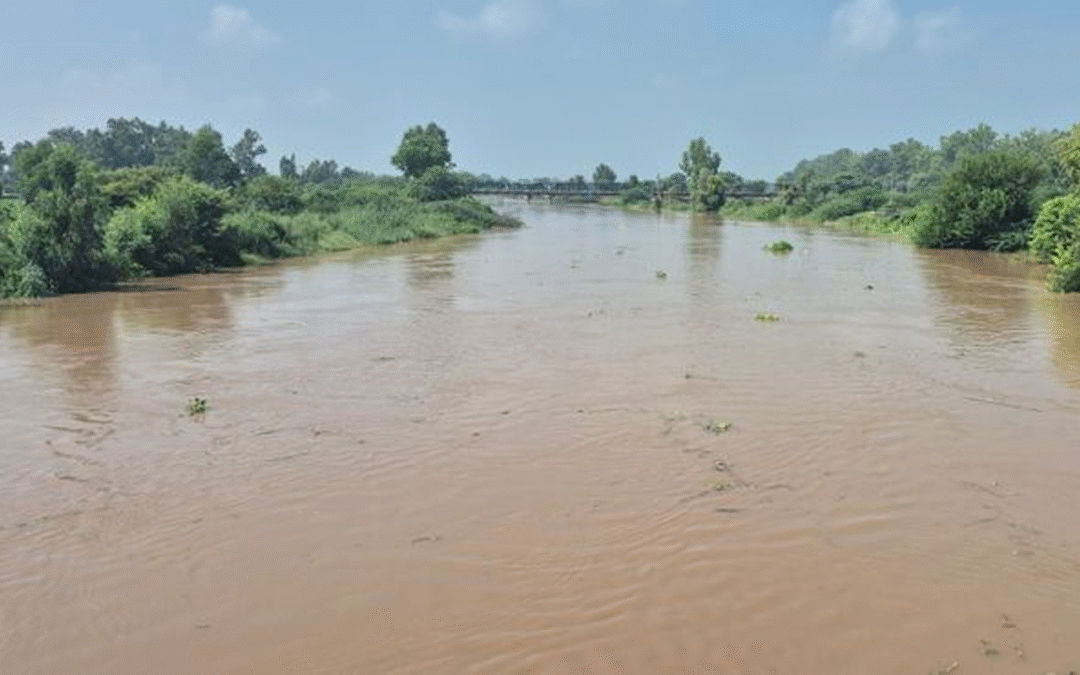Man Drowns in Devigarh as Patiala Administration Issues New Flood Alert for Ghaggar River