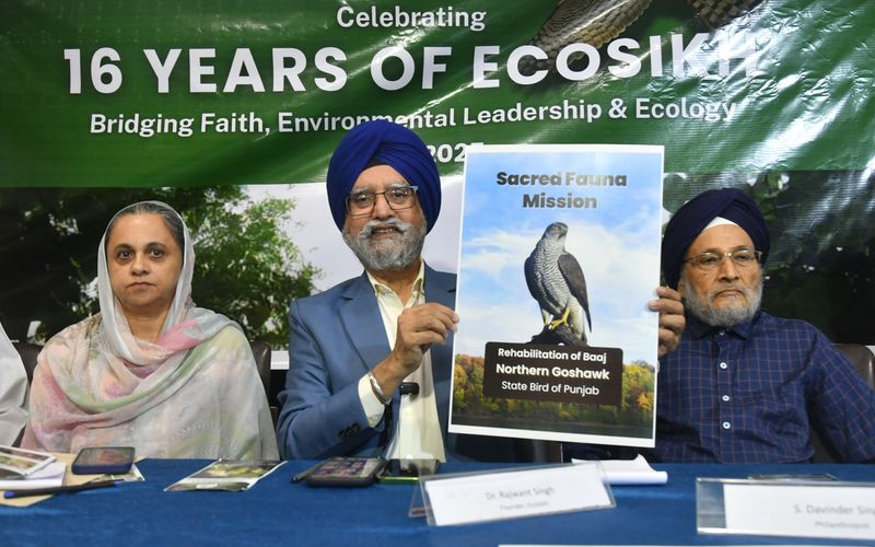 EcoSikh Announces Plan to Revive Punjab’s State Bird ‘Baaj’ to Mark Guru Tegh Bahadur’s 350th Martyrdom Day
