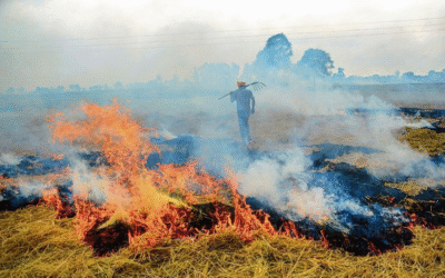 CAQM Meeting As Stubble Fires Spike
