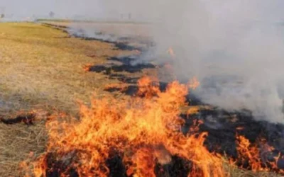 ਪਰਾਲੀ ਸਾੜਨ ਤੇ ਦੋ ਕਿਸਾਨਾਂ ਵਿਰੁੱਧ ਕੇਸ ਦਰਜ