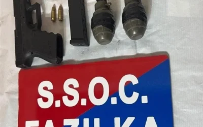 ਸਰਹੱਦ ਪਾਰ ਹਥਿਆਰਾਂ ਦੀ ਤਸਕਰੀ ਕਰਨ ਵਾਲੇ ਮਾਡਿਊਲ ਦਾ ਪਰਦਾਫਾਸ਼