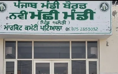 4.13 ਕਰੋੜ ਦੀ ਲਾਗਤ ਨਾਲ ਬਣੀ ਮੱਛੀ ਮੰਡੀ ਬਣੀ ` ਚਿੱਟਾ ਹਾਥੀ’