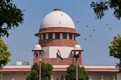 Supreme court Straay Dogs