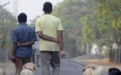 ਬਿਨਾਂ ਲਾਇਸੈਂਸ ਕੁੱਤੇ ਨੂੰ ਘੁਮਾਉਣ `ਤੇ 20 ਹਜ਼ਾਰ ਰੁਪਏ ਦਾ ਜੁਰਮਾਨਾ