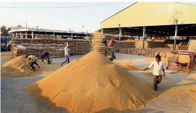 ਨਾਭਾ ਅਨਾਜ ਮੰਡੀ ਵਿੱਚ ਦੋ ਲੱਖ 40 ਹਜਾਰ ਕੁਇੰਟਲ ਝੋਨਾ ਆਇਆ : ਅਮਿਤ ਕੁਮਾਰ