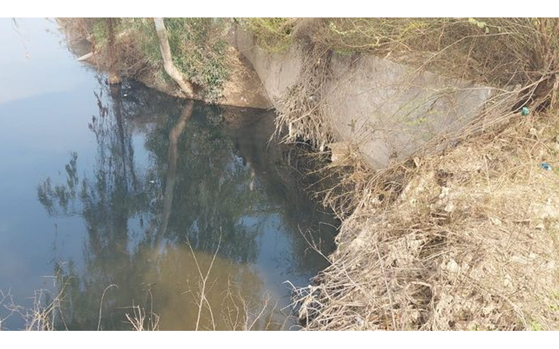 Sirsa Health Crisis: Rising Cancer Cases in Ghaggar Belt Linked to Contaminated Water