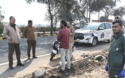 Rohtak: Outrage as 29 Dogs Found Dead; Investigation Launched