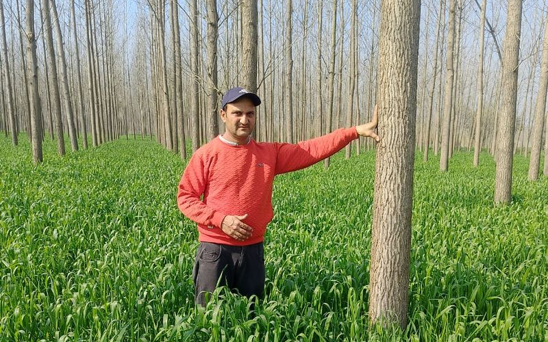 Yamunanagar’s ‘Haldi Man’ Vijay Kumar Honoured as Special Guest at 77th Republic Day Parade in New Delhi