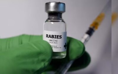 ਐਨ. ਐਮ. ਸੀ. ਨੇ ਦਿੱਤੇ ਹਸਪਤਾਲਾਂ ਵਿਚ ਰੇਬੀਜ਼ ਰੋਕੂ ਟੀਕੇ ਉਪਲੱਬਧ ਰੱਖਣ ਦੇ ਹੁਕਮ