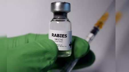 ਐਨ. ਐਮ. ਸੀ. ਨੇ ਦਿੱਤੇ ਹਸਪਤਾਲਾਂ ਵਿਚ ਰੇਬੀਜ਼ ਰੋਕੂ ਟੀਕੇ ਉਪਲੱਬਧ ਰੱਖਣ ਦੇ ਹੁਕਮ