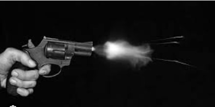 ਪਤਨੀ ਤੇ ਪੁੱਤ ਨੂੰ ਗੋਲੀ ਮਾਰਨ ਤੋਂ ਬਾਅਦ ਖੁਦ ਨੂੰ ਵੀ ਨੌਜਵਾਨ ਨੇ ਮਾਰੀ ਗੋਲੀ