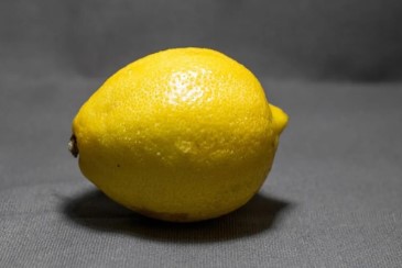 Lemon Lemon