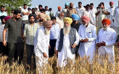 ਫਸਲਾਂ ਦੇ ਨੁਕਸਾਨ ਦੇ ਮੁਲਾਂਕਣ ਲਈ 500 ਤੋਂ ਵਧ ਕਰਮਚਾਰੀ ਤਾਇਨਾਤ : ਖੁੱਡੀਆਂ