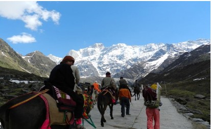 ਚਾਰ ਧਾਮ ਯਾਤਰਾ ‘ਤੇ ਜਾ ਰਹੇ ਇਕ ਮਹਿਲਾ ਤੇ ਪੁਰਸ਼ ਦੀ ਹੋਈ ਮੌਤ