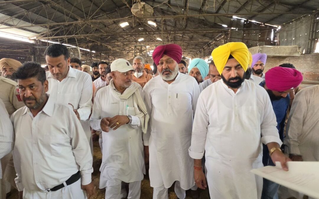 ਹਰਪਾਲ ਚੀਮਾ ਵੱਲੋਂ 50 ਲੱਖ ਰੁਪਏ ਦੀ ਮਾਲੀ ਸਹਾਇਤਾ ਦਾ ਐਲਾਨ