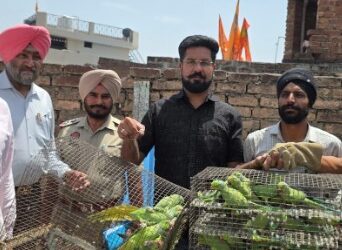 ਜੰਗਲੀ ਜੀਵ ਵਿਭਾਗ ਦੀ ਦਿੱਲੀ ਟੀਮ ਨੇ ਤੋਤੇ ਬਰਾਮਦ ਕਰਕੇ ਕੀਤਾ ਕੇੇਸ ਦਰਜ