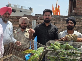 ਜੰਗਲੀ ਜੀਵ ਵਿਭਾਗ ਦੀ ਦਿੱਲੀ ਟੀਮ ਨੇ ਤੋਤੇ ਬਰਾਮਦ ਕਰਕੇ ਕੀਤਾ ਕੇੇਸ ਦਰਜ