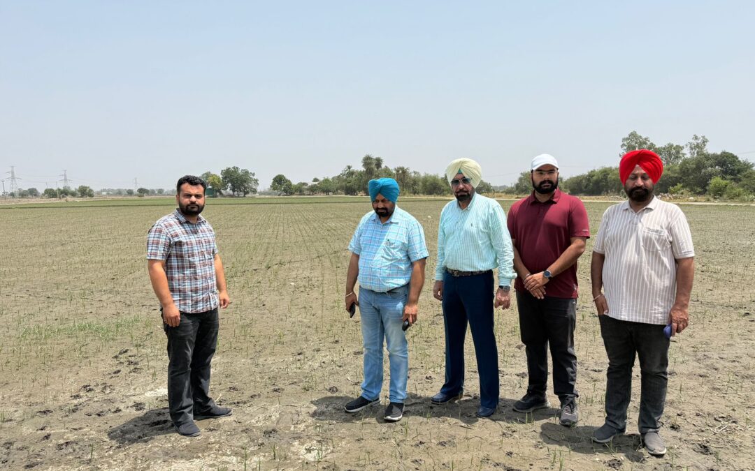 ਝੋਨੇ ਵਿਚ ਮਧਰੇਪਣ ਦੀ ਸਮੱਸਿਆ ਬਾਰੇ ਸੁਚੇਤ ਰਹਿਣ ਦੀ ਲੋੜ : ਖੇਤੀਬਾੜੀ ਅਫਸਰ