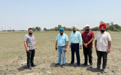 ਝੋਨੇ ਵਿਚ ਮਧਰੇਪਣ ਦੀ ਸਮੱਸਿਆ ਬਾਰੇ ਸੁਚੇਤ ਰਹਿਣ ਦੀ ਲੋੜ : ਖੇਤੀਬਾੜੀ ਅਫਸਰ