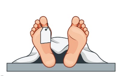 Bodies