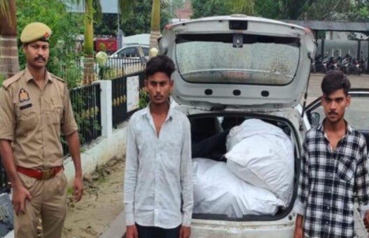 Smugllar Arrest smugglers arrested