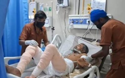 ਅਵਾਰਾ ਕੁੱਤਿਆਂ ਦੇ ਝੁੰਡ ਨੇ ਮੰਦਬੁੱਧੀ ਵਿਅਕਤੀ ਨੂੰ ਕੀਤਾ ਜਖਮੀ