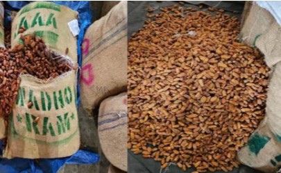 Dried Seized
